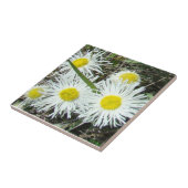 F10 Weiße Wildblumen Tufted Fleabane Fliese (Seite)