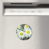 F10 Weiße Wildblumen Tufted Fleabane Magnet (In Situ (Geschirrspüler))