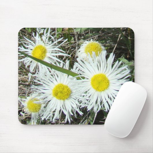 F10 Weiße Wildblumen Tufted Fleabane Mousepad (Mit Mouse)