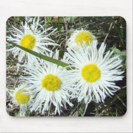 F10 Weiße Wildblumen Tufted Fleabane Mousepad