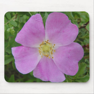 F11 Prärie-Wildrose "Rosa arkansana" Mousepad