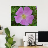F11 Rose "Rosa arkansana" Poster (Heimbüro)