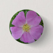 F11 wilde Rose "Rosa arkansana " des Grasland- Button (Vorderseite)