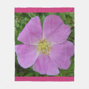 F11 Wilde Rose "Rosa arkansana" Fleecedecke