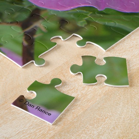 F11 Wilde Rose "Rosa arkansana" Puzzle (Seite)