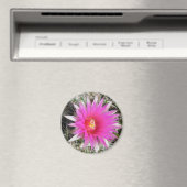 F12 Ball Cactus Blume "Escobaria vivipara" Magnet (In Situ (Geschirrspüler))