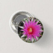 F12 Kaktus "Escobaria vivipara " des Ball- Button (Vorne & Hinten)