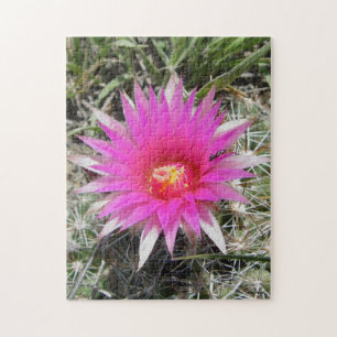 F12 Kugelkaktus-Blüte "Escobaria vivipara" Puzzle