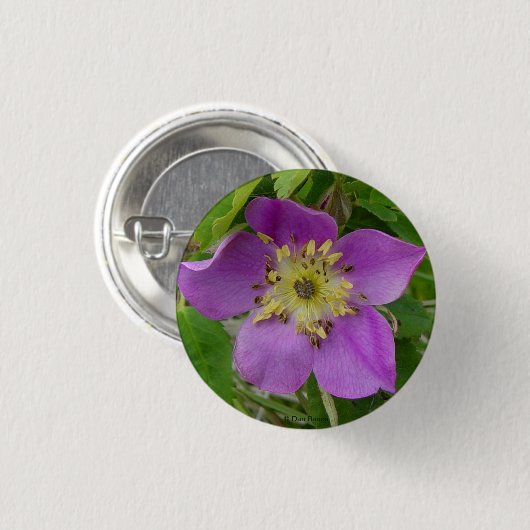 F13 Alberta Wilde Rose Prickly Rose Button (Vorne & Hinten)
