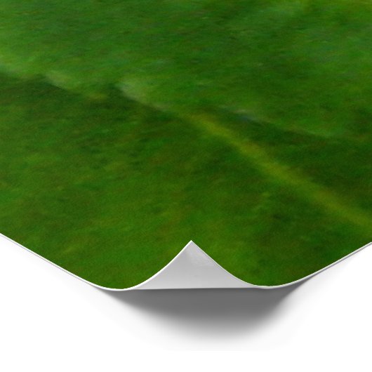 F13 Prickley Rose Alberta Wild Rose Poster (Ecke)