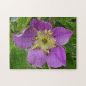 F13 Prickley Rose Alberta Wild Rose Puzzle (Horizontal)