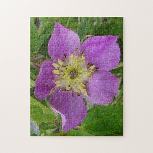 F13 Prickley Rose Alberta Wild Rose Puzzle (Vertikal)