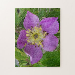 F13 Stachelige Rose Alberta Wilde Rose Puzzle