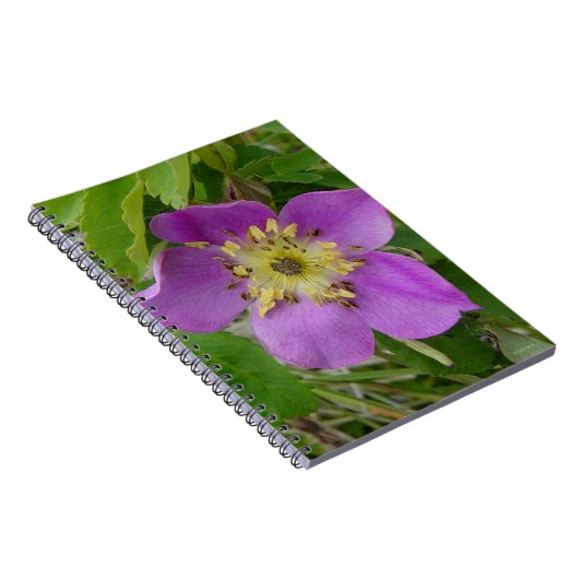 F13 Wilde Rose Alberta Wilde Rose Notizblock (Rechte Seite)