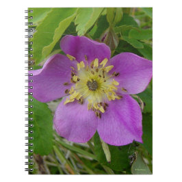 F13 Wilde Rose Alberta Wilde Rose Notizblock