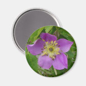 F13 Wilde Rose Alberta Wilde Rose Prickly Rose Magnet (Vorderseite/Rückseite)