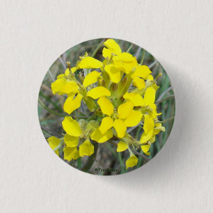 F14 Gelbe Wildblumen Button