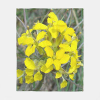 F14 Gelbe Wildblumen