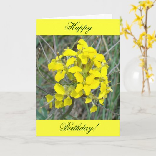 F14 Gelbe Wildblumen Karte (Gelbe Blume)