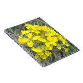 F14 Gelbe Wildblumen Notizblock (Rechte Seite)