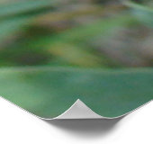 F14 Kleine gelbe Wildblumen Poster (Ecke)