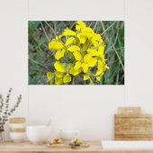 F14 Kleine gelbe Wildblumen Poster (Küche)