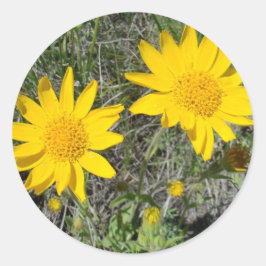 F15 Gelbe Wildblumen Nezeweed Runder Aufkleber
