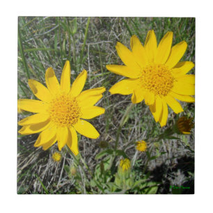 F15 Gelbe Wildblumen Sneezeweed Fliese