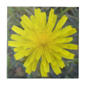 F16 Gelbe Wildblume King Devil Fliese (Vorderseite)