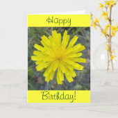 F16 Gelbe Wildblume King Devil Karte (Gelbe Blume)