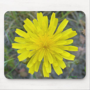 F16 Gelbe Wildblume König Teufel Mousepad