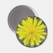 F16 Gelbe Wildblume Magnet (Vorderseite/Rückseite)