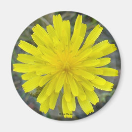 F16 Gelbe Wildblume Magnet