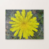F16 Gelbe Wildblumen-King Devil Puzzle (Horizontal)