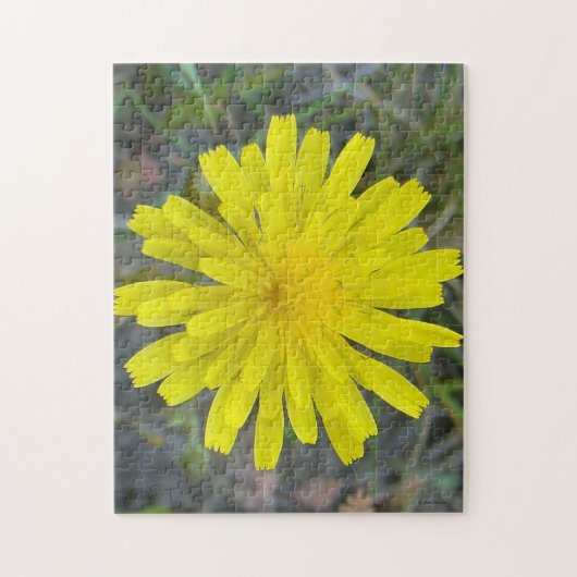 F16 Gelbe Wildblumen-King Devil Puzzle (Vertikal)