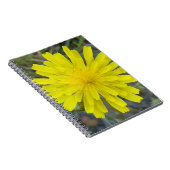 F16 Gelbe Wildblumen-Königsteufel Notizblock (Rechte Seite)