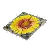 F17 Gelbe Wildblume Gaillardia Fliese (Seite)