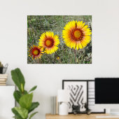 F17 Gelbe Wildblumen Gaillardia Poster (Heimbüro)