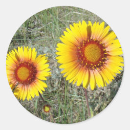 F17 Gelbe Wildblumen Gaillardia Runder Aufkleber