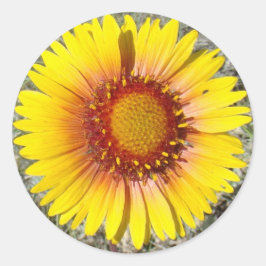 F17a Gelbe Wildblumen Gaillardia Runder Aufkleber