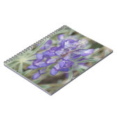 F18 Lila Wildblumen Jährliche Lupine Notizblock (Linke Seite)