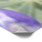 F18 Lila Wildblumen Jährliche Lupine Poster (Ecke)