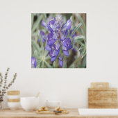 F18 Lila Wildblumen Jährliche Lupine Poster (Küche)