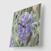 F18 Lila Wildblumen Jährliche Lupine Quadratische Wanduhr (Winkel)