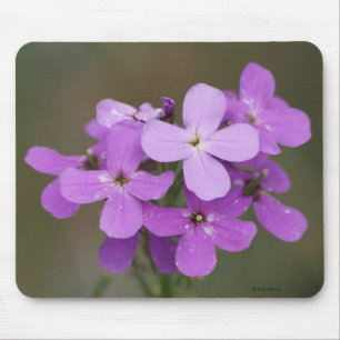 F19 Lila Wildblumen Dames-Rakete Mousepad