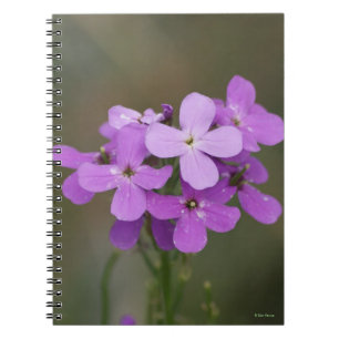F19 Lila Wildblumen Dames-Rakete Notizblock