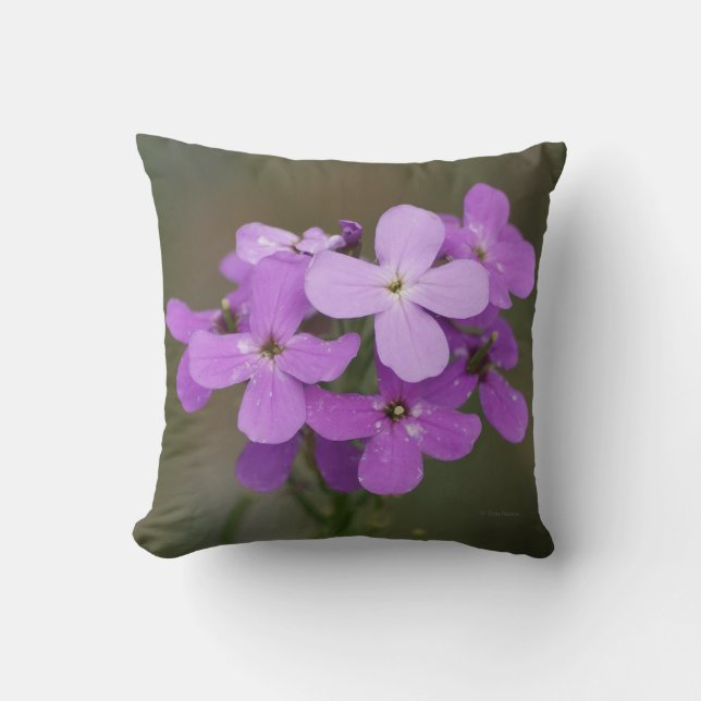 F19 Lila Wildblumen Dames Rocket Kissen (Vorderseite)