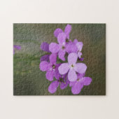 F19 Lila Wildblumen Dames Rocket Puzzle (Horizontal)