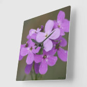 F19 Lila Wildblumen Dames Rocket Quadratische Wanduhr (Winkel)