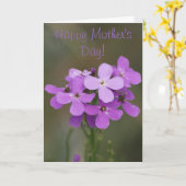 F19 Purple Wildflowers Dames Rocket Karte (Gelbe Blume)